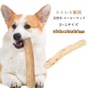 2{Zbg VR R[q[Ebh  LPA pߋ  v[g SN ^  V XgX ^  f^PA ɂԂ S M L p ł ꖂ 