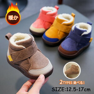 [gu[c LbY j̎q ̎q V[gu[c {A xr[V[Y  qC LbY W[Y jp  [gu[c g q W[Y ܎O c ʊw 