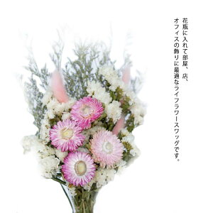 CeA hCt[ G ԑ o hCt[  i` XbO  ͗lւ   蕨 Vzj av[g Mtg k u j 