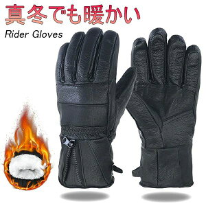 TCNO[u TCNOO[u h΍ g TCNEFA ނ AEghA oR h  X|[c oCN ]ԃO[u ~p t[TCY V[vXL N ɒg 