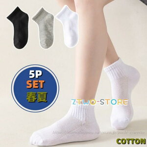 �\�b�N�X ���n�C�� �q���p �C�� �X�|�[�c ���n �g���� �w���p�\�b�N�X 5���Z�b�g �j�̎q ���̎q ������ �ۈ牀 �c�t�� �ʉ��ʊw �����C�� �M�t�g �����Y ���f�B�[�X ������� ���킢��