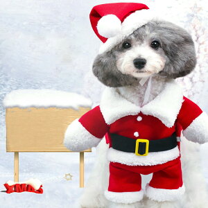 �H�~�p �X�^���h�^�C�v �T���^�N���[�X���y�b�g�E�F�A �N���X�}�X���p�R�X�`���[�� �g���� �h�� �H�~�p�y�b�g�� ���������ϐg�� ���^���p XS�`XL�T�C�Y�W�J �����Y