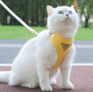 �l�R�n�[�l�X �L�����p���^�� �E���Ȃ� �y�b�g ���[�h �n�[�l�X ���[�h�Z�b�g �y�b�g�p�z�b�g�J�[�y�b�g �y�b�g�V�[�g �� ���b�N ���� ��� �n���h�� �U�� �⏕ �́[�˂� �q�L ���L�p ���L 