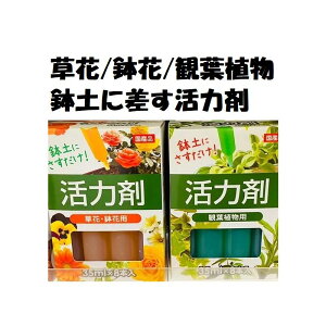 ͍ 8PiϗtApjiԁEԗpj{ [LY