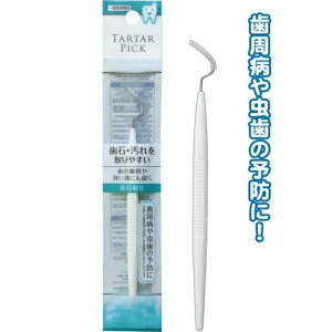 歯石取り 虫歯・歯周病予防に ヤニ取り ホームケア 口の中を清潔に