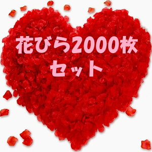 Ԃт 2000Zbg t[V[  KN  v|[Y   EGfBO 2 a j oɃ[Y p[eB[ NX}X Be o p[eB[p