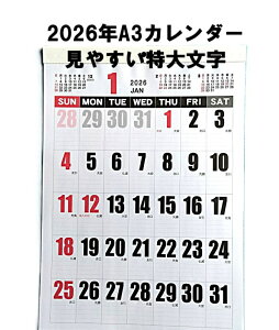 J_[ 2026 Ǌ| A3TCY ₷啶J_[ t₷I  2026N VvfUC Zj j OꃕJ_[t Ǌ|J_[