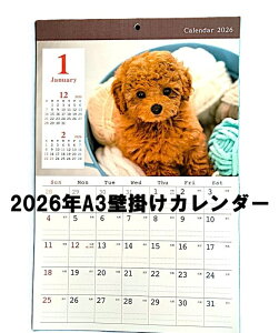 J_[ 2026 Ǌ| q A3TCY ybgʐ^J_[ 郏 42x30cm 2026N  Zjj OꃕJ_[t Ǌ|J_[