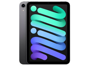 u+2{|CgEViviPad mini 8.3C` 6 Wi-Fi 256GB 2021NHf MK7T3J/A [Xy[XOC] 4549995251579