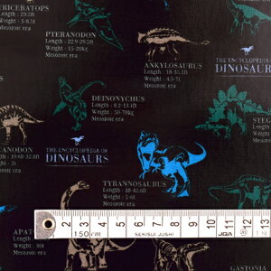 pp n ~l[g n  ubN j̎q }ӂւ悤iubNj ~l[gi0.2mmjn@