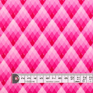 yppz n ~l[g n sNsN_Ch ~l[g(0.2mm)n