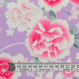 yppz u[h n 䂩p n a  p[v ɐ  u[hny1.5m(15)܂łȂ䂤pPbgΉz
