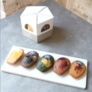 NANATEA&Tsutsumi xCN}h[k TEA5Zbg Mtg