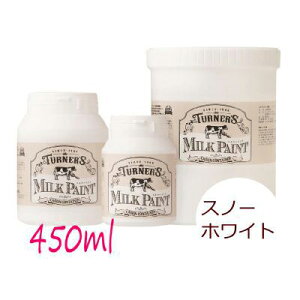 Ԍ聙orEGXGET!! ^[i[~NyCg Xm[zCg [450ml] ^[i[F