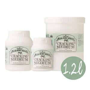 Ԍ聙orEGXGET!! ^[i[~NyCgV[Y NbLOfBE [1.2L] ^[i[F