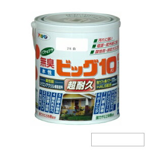 �A�T�q�y�� [���L]�����r�b�O10 ���p�r �\�t�g�ȃc�� �� 1.6L [�������p�r�h��]