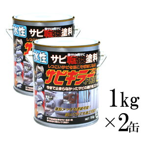 yz TrL[PRO Vo[ [ 1kg×2ʃZbg ] BAN-ZI TrL[v F v pro 