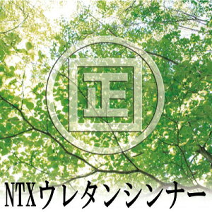 h NTXE^Vi[#100 [4L] NTXEgbN895 mgG mLV