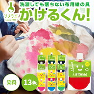 【選べる13色】色の 洗濯しても落ちない 布用絵の具 かけるくん！100g まとめ買いがお得!!　ハンドメイド…