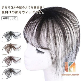薄毛隠し 前髪ウィッグ 3D構造 エステンション 自然 つむじ付き 白髪隠し ヘアピース ピース ポイントウィッグ 薄型 部分ウィック 増毛かつ