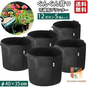 �s�D�z�|�b�g �s�D�z�v�����^�[ 12�K���� 5�� �s�D�z �v�����^�[ 14�� 40x35 �A�ؔ� ��^ �t�F���g�v�����^�[ �y�� �y�� �[��
