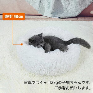L xbh ~ ӂӂ ybgxbh Lpxbh L h[ ~  xbh  h[ ybg zc Lp NbV ybgxbh ^ L ybgpi lR xbh  Lxbh pxbh 