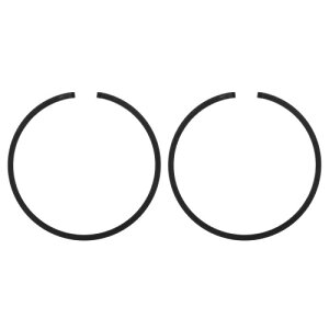 M METERXITY 2 pbN sXg O Zbg 44mm x 1.5mm WsXg O sXg O d\[p `F[\[ i ()