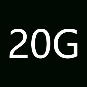 �K�p�S���t�p�^�[�d��Odyssey Ai-one Sliver�p�^�[�V���o�[�d��5/10/15/20/25/30/35/40 g 2���� (20G)