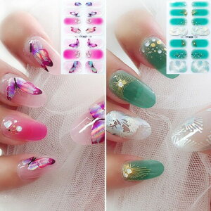 COLORBIRD lCV[ LLAQn t \邾}jLA       p[ p[c (FF3027 FF3028)