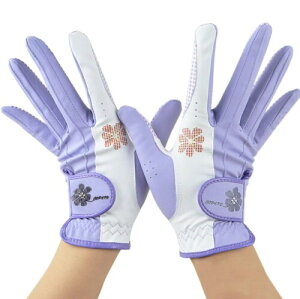 PREMINNO(v~[m) St O[u  fB[X  tBbg ϋv fUC (22 (18.0cm-18.5cm), x_[)