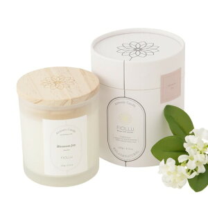 FIOLLU �A���}�L�����h�� �R�Ė�40���� (�W���X�~��)�V�R�\�C���b�N�X&���X ���� �����Ȑc230g �M�t�g Blossom Joy