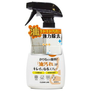 w邾ȒPuvLCɂȂXv[xLb`  ͐ |  ͏ e 400mL N[{