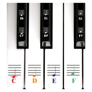 QMG Color Piano and Keyboard Music Note Full Set Stickers for White and Black Keys; Made in USA