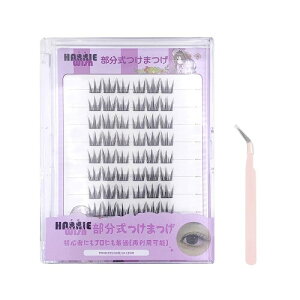Hannie wish ܂ p  ܂ i`  0.05mm ɍ׎ ܂ꂽ悤ȎRȎdオ ҂   OL w Kp (Princess+sZbg)