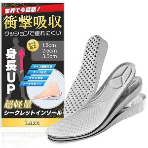(3) V[NbgC\[ gAbv y Ռz ɂ A[`T|[g  ~ jp Lazx (41-42TCY(25.5-26cm), 1.5cm)