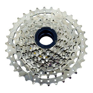 DNP 10 Speed Screw-on Freewheel 11-34T Nickel Plate, ST1991
