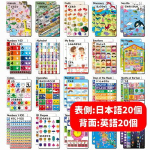 (�i�E�G�f��)�c���m��|�X�^�[40��ށi����:�Ђ炪��?ABC�j�q���A�c�t���A�����A�z�[���X�N�[�� (NOWEDU) 40 types of early childhood education posters (both sides: Hiragana and ABC) Children, kindergarten, classroom