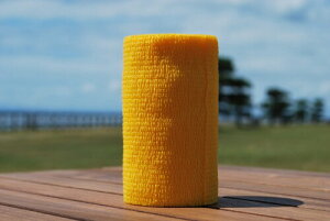 {Yp oe[W (10cm X 4.5mj12×1P[X eF (F)