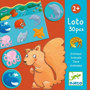 DJECO �W�F�R �A�j�}�� ���g �G���킹 �J�[�h�Q�[�� �ώ@�� �m��ߋ� ��l ���킢�� ������� �����e�b�\�[�� Gra edukacyjna lotto Zwierzeta 2�� 3�� 4�� �j�̎q ���̎q �c�� �Ԃ���� �o�Y�j�� ��