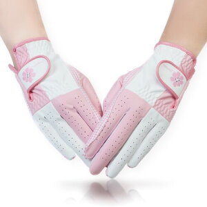 PREMINNO(v~[m) StO[u fB[X  p St (22 (18.0cm-18.5cm), sN)
