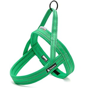 J&C Paradise ȒP n[lX {KX p SȂ 3M lC ȒP v X|[c TRUELOVE (XS, O[)