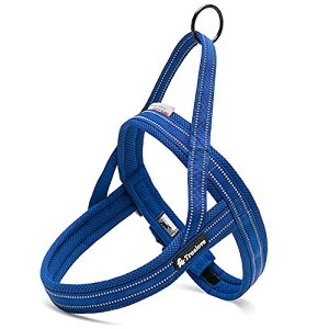 J&C Paradise ȒP n[lX {KX p SȂ 3M lC ȒP v X|[c TRUELOVE (SS/xxs, Cu[)