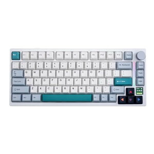 GK GAMAKAY TK75-V2 ~[gJjJL[{[hTFTXN[tmut 75% CX zbgXbpu Bluetooth/2.4GHz/USB-C RGB PBT CherryvtB[ L[Lbv Q[~OL[{