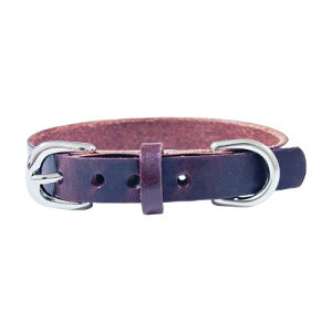 Beanspet p {v {  U[J[ yʃ^Cv ^ ^ ^Ή ϋv JtJ[ TCYWJ XS`L LpɂOK (_[NuE, XS)