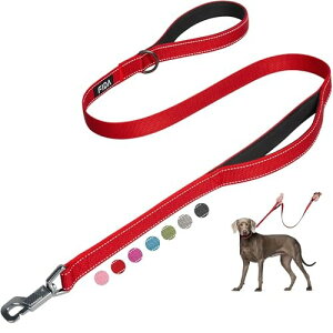 Fida 犬 リード 中型犬 大型犬用リード 持ち手2個 ちやすい 頑丈 訓練用 3M反射材料 ナイロン製 軽量 手袋したまま 耐荷重50kg 散歩グッズ(1.2m, レッド, 太さ25mm)
