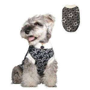 DICOCO  Z[^[ ^  킢 fUC _炩 ʋC K t H ~ gCv[h ` ybg hbOEFA U i*1CMj