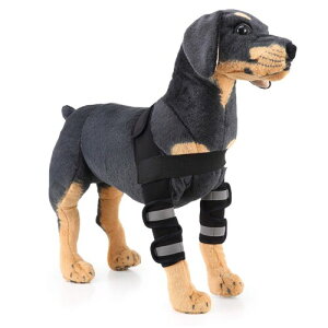 VanderHOME pnr ybgpPApi ֐߃veN^[ pT|[^[ ybgp GT|[^[ ܎ pEFA rߖh~ V h~ ȒPE ߉\ p⏕ 