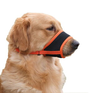 TECDW   bV ʋC p}Y \ p ʖih~ EH Ƌj h~ _炩̌ی삷 ^^^pݕth~ih~rߗpOb