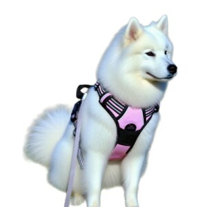 Aibpet ^p n[lX 13-20KG \tg 킢 h~ SȂ TCY Ԕ h~ ʋC Pݖh~ U s⏕ V (sN, M)