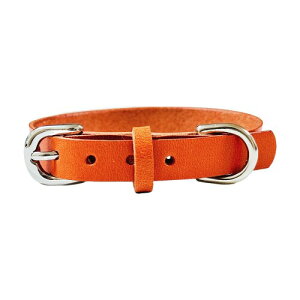 Beanspet p {v {  U[J[ yʃ^Cv ^ ^ ^Ή ϋv JtJ[ TCYWJ XS`L LpɂOK (IW, XS)